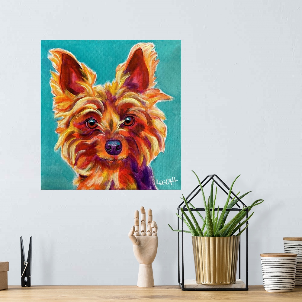 A bohemian room featuring Yorkie - Snookie