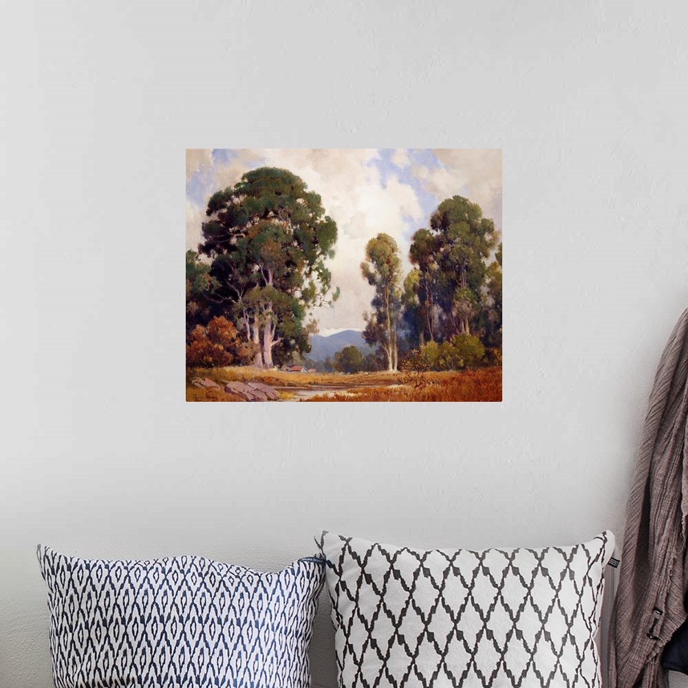A bohemian room featuring Eucalyptus