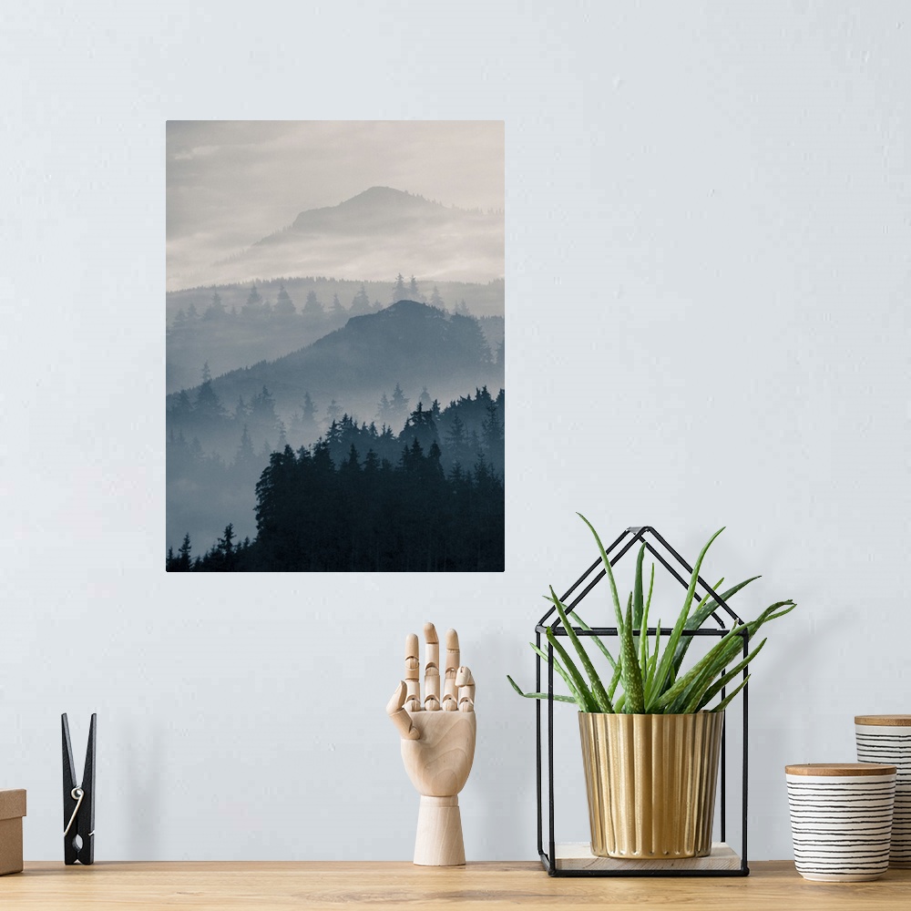 A bohemian room featuring Blue Mountains I