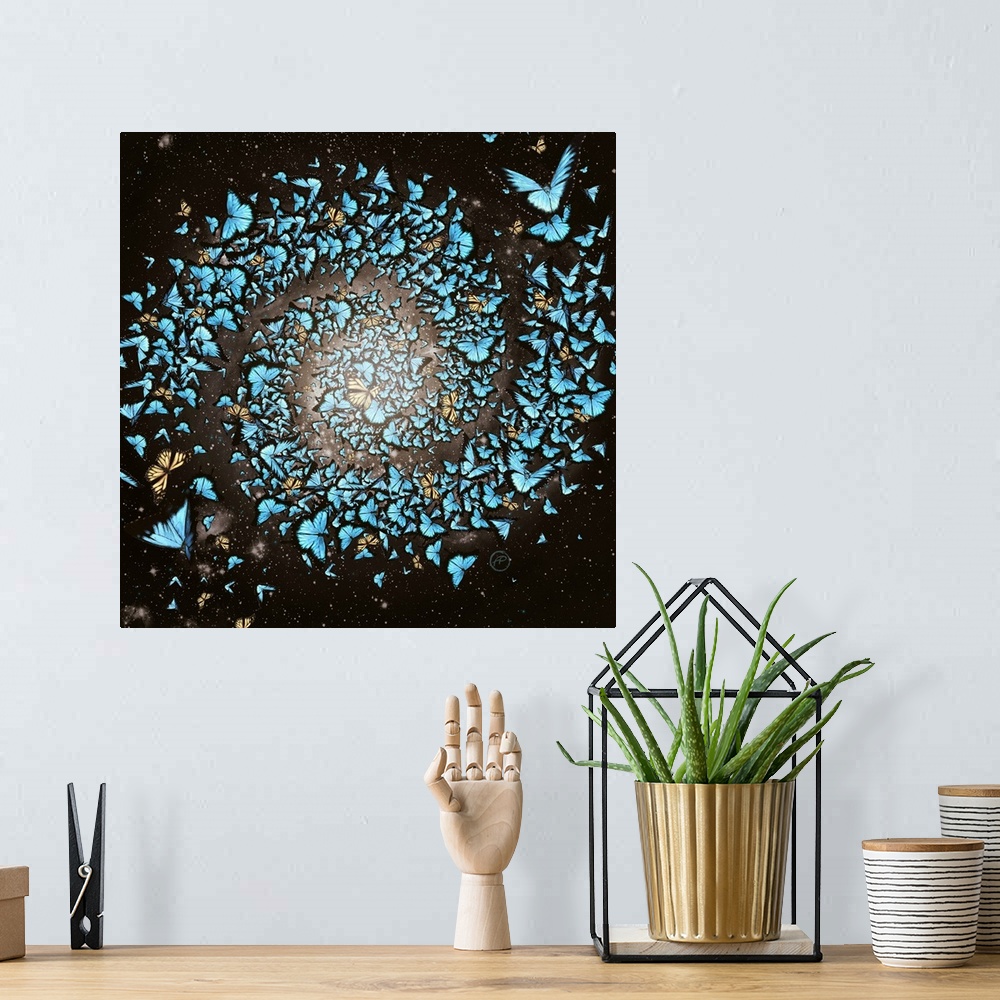 A bohemian room featuring Butterfly Galaxy
