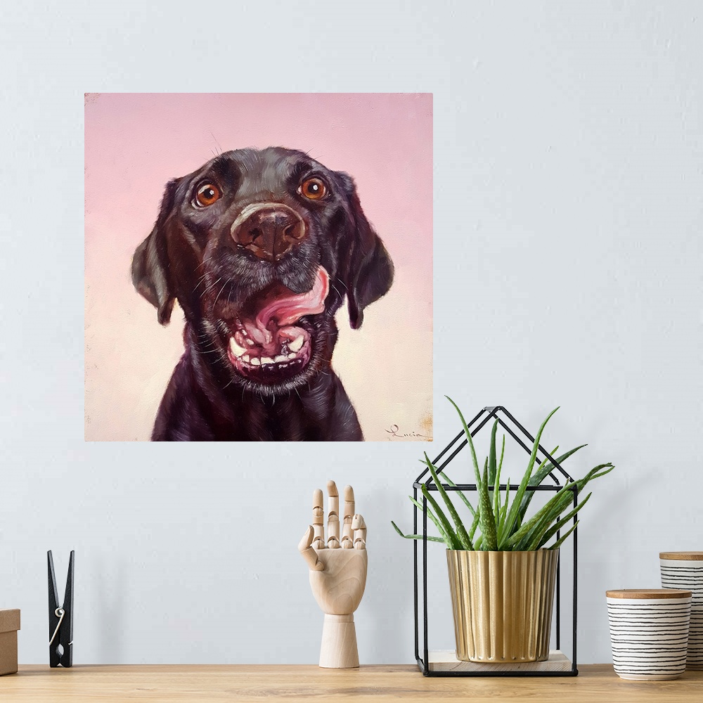 A bohemian room featuring A contemporary painting of a black labrador against a pink backdrop.