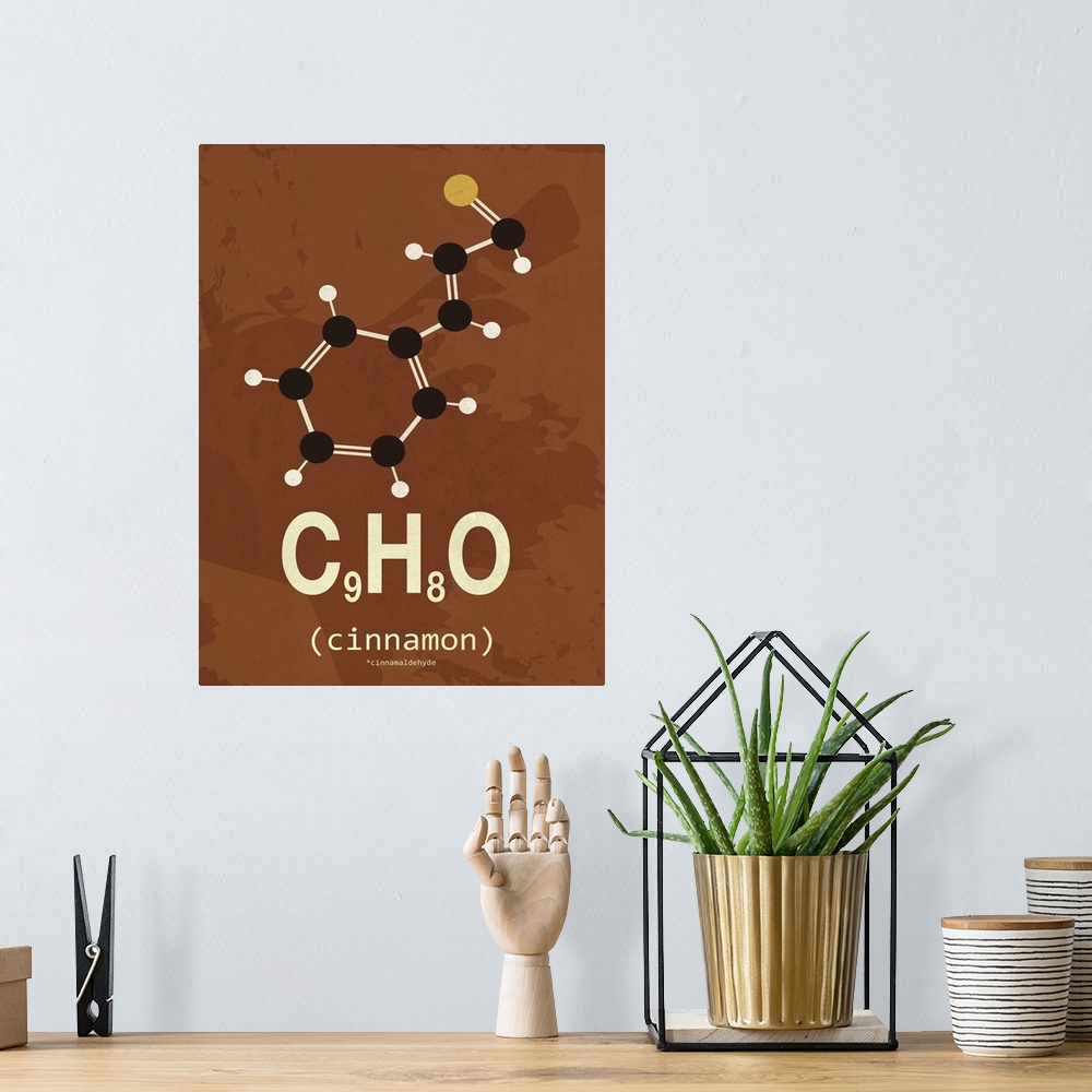 A bohemian room featuring Graphic illustration of the chemical formula for cinnamon.