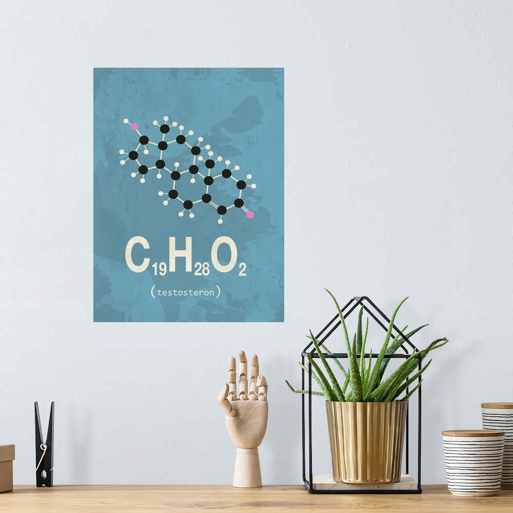 A bohemian room featuring Graphic illustration of the chemical formula for Testosterone.