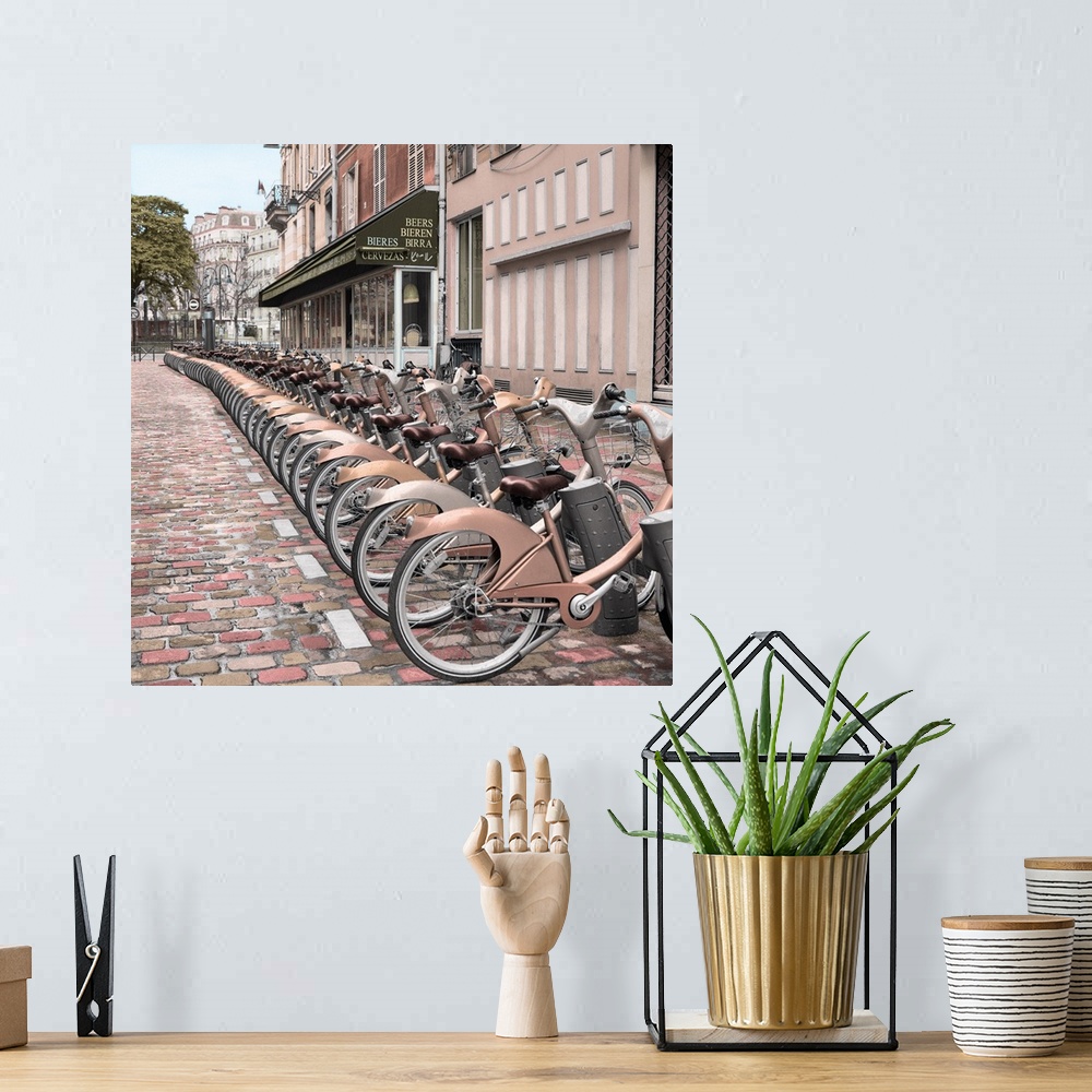 A bohemian room featuring Square image of a row of rental bicycles in Paris, France.