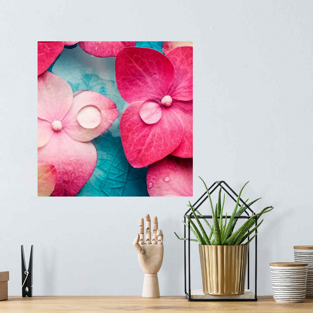 A bohemian room featuring A square photograph of pink flowers with water droplets on the petals.
