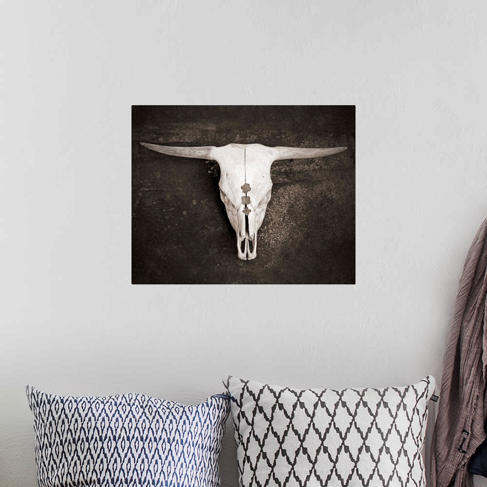 A bohemian room featuring Sepia Cattle Skull