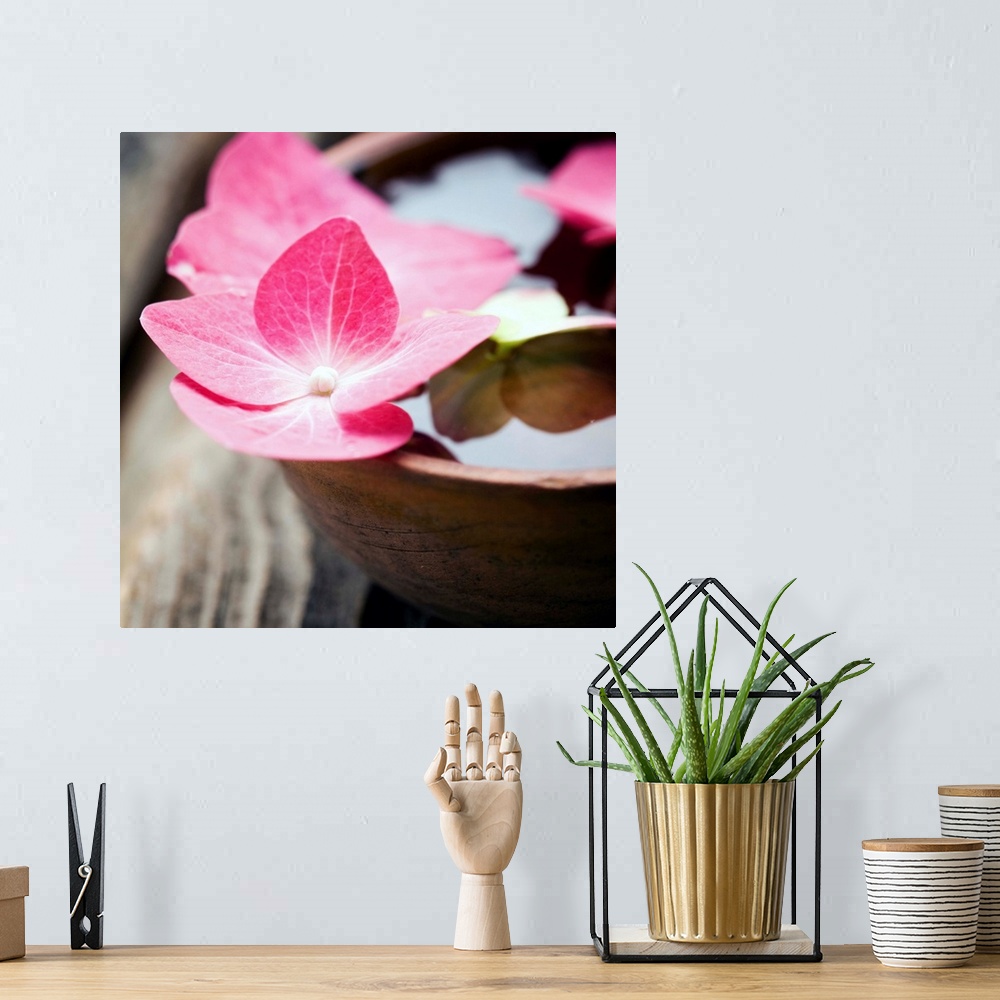 A bohemian room featuring A square photograph of pink flowers in a bowl of water.