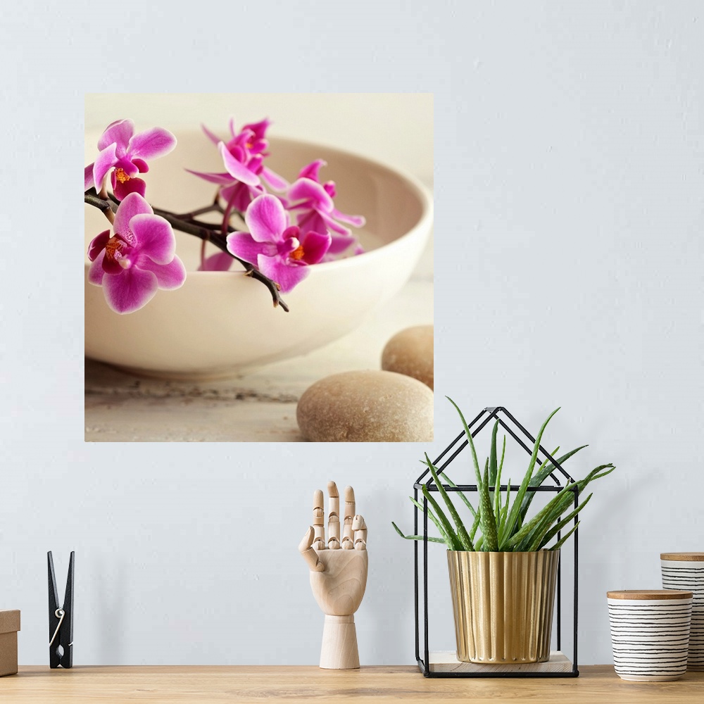 A bohemian room featuring A square photograph of pink orchids in a bowl with rocks next to it.