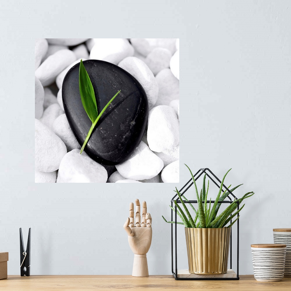 A bohemian room featuring Small green bamboo leaf on a neat, black Zen-Stone lying on many white pebbles.