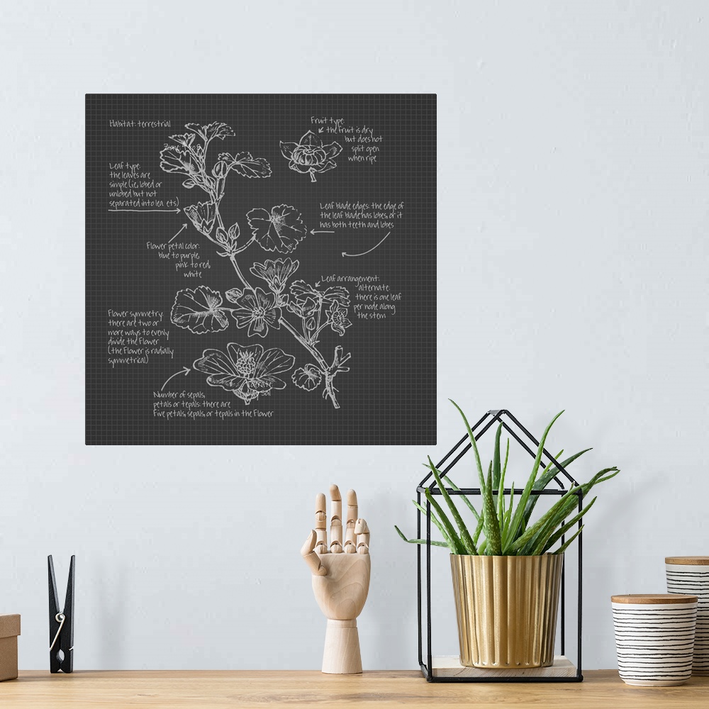 A bohemian room featuring Digital artwork of a blueprint in slate gray and white featuring a rosaceae botanical with brief ...