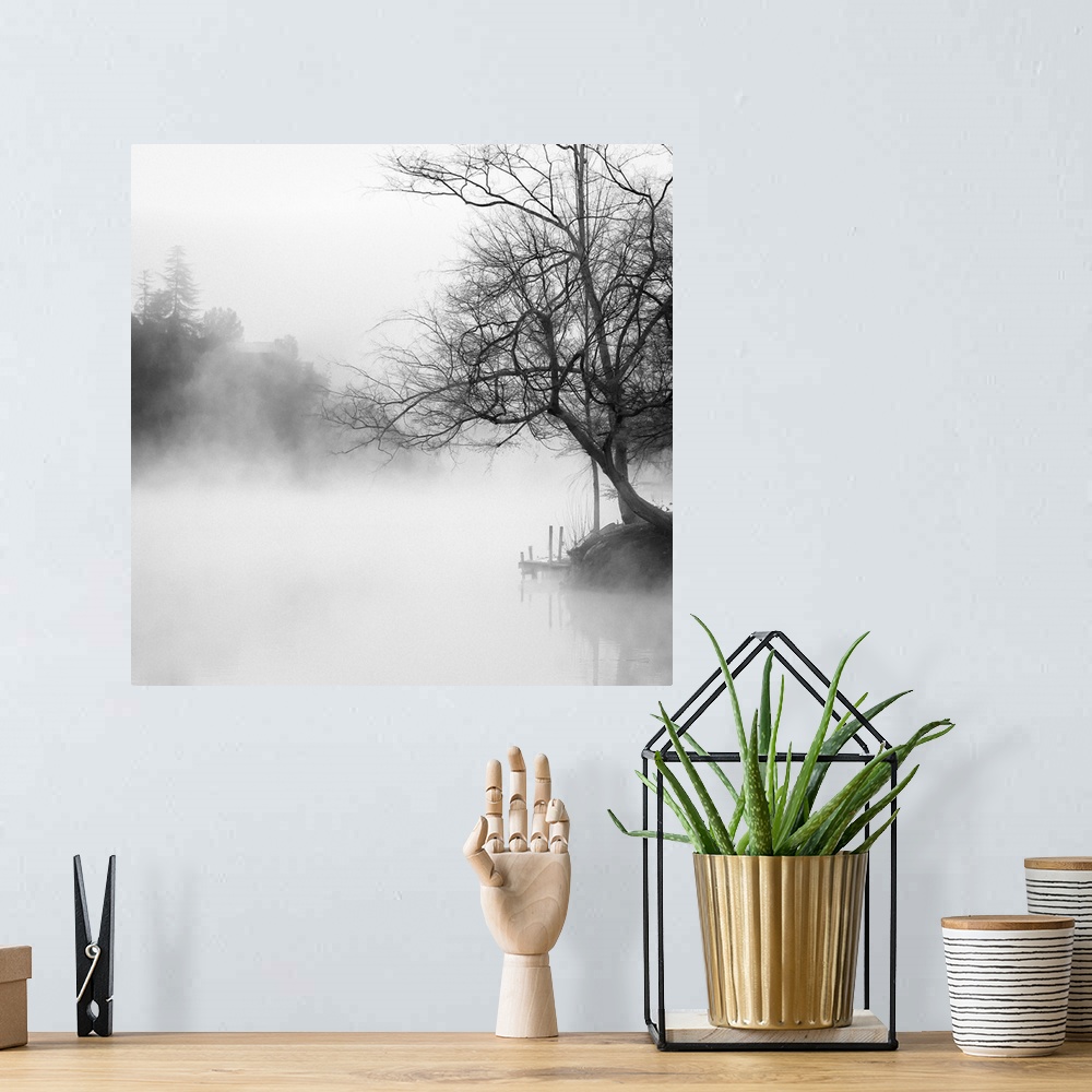 A bohemian room featuring Black and white photography of a misty lake lined with trees.