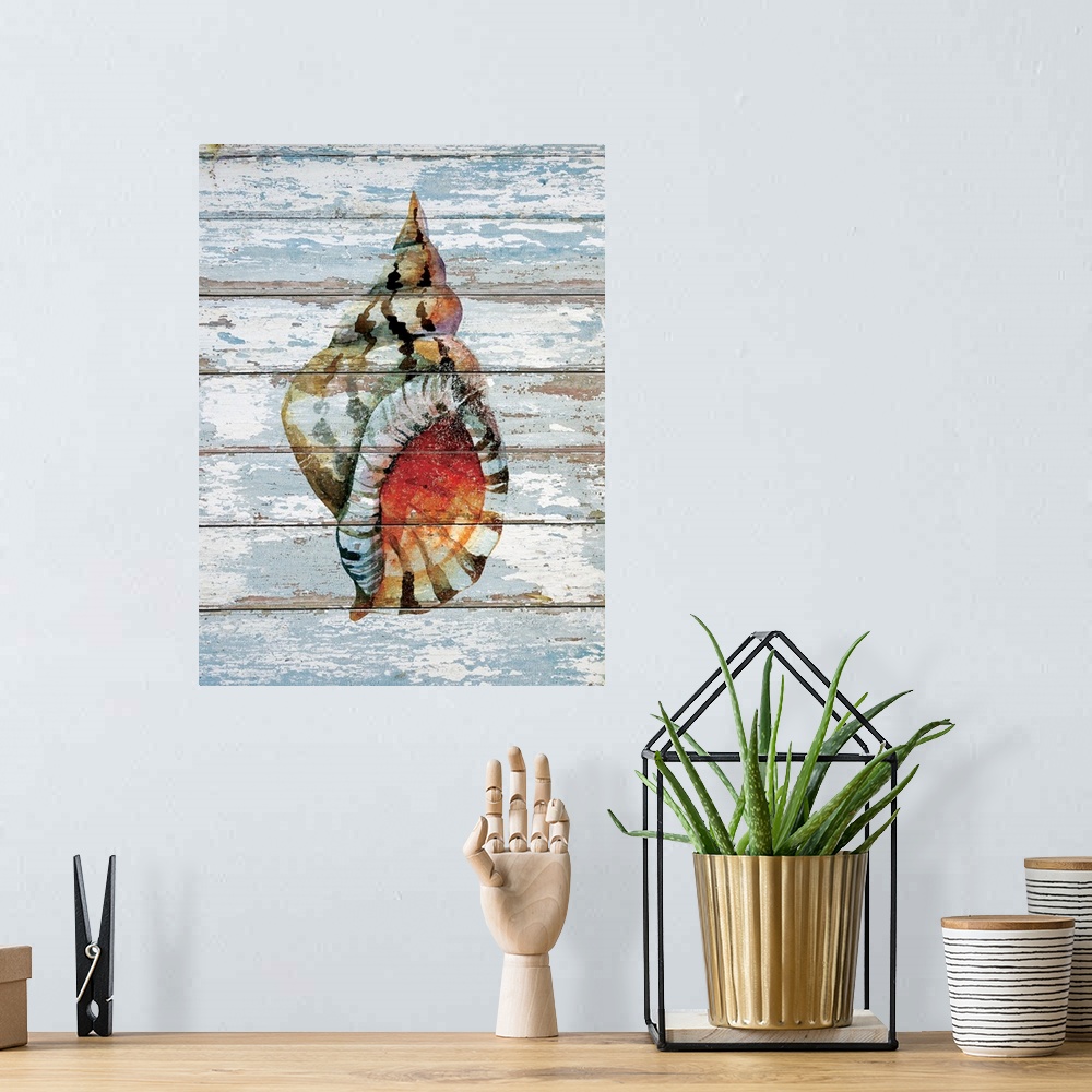 A bohemian room featuring Digital artwork of a seashell on a weather-washed blue-gray wood background.