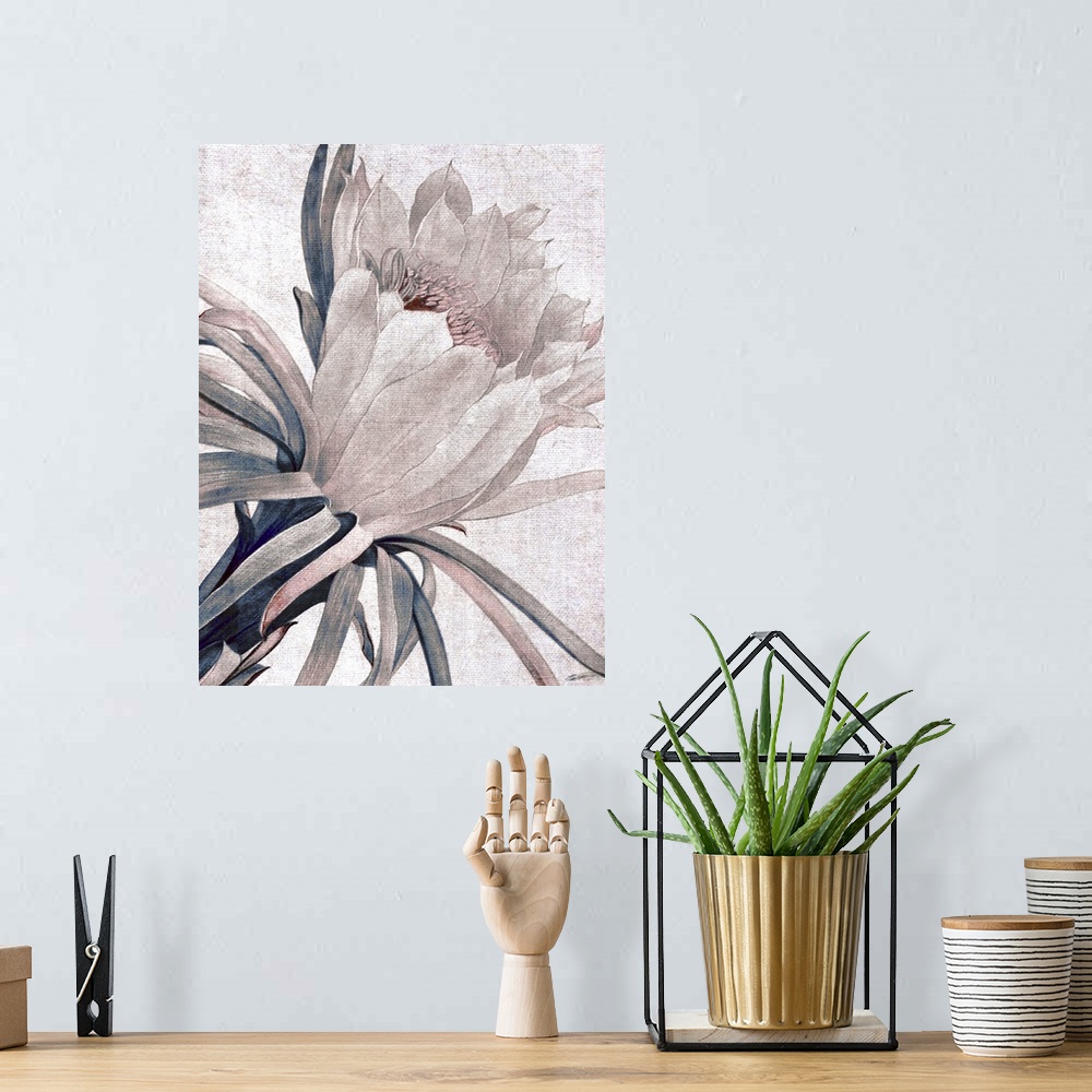 A bohemian room featuring A cactus flower blooms on blushed toned linen.