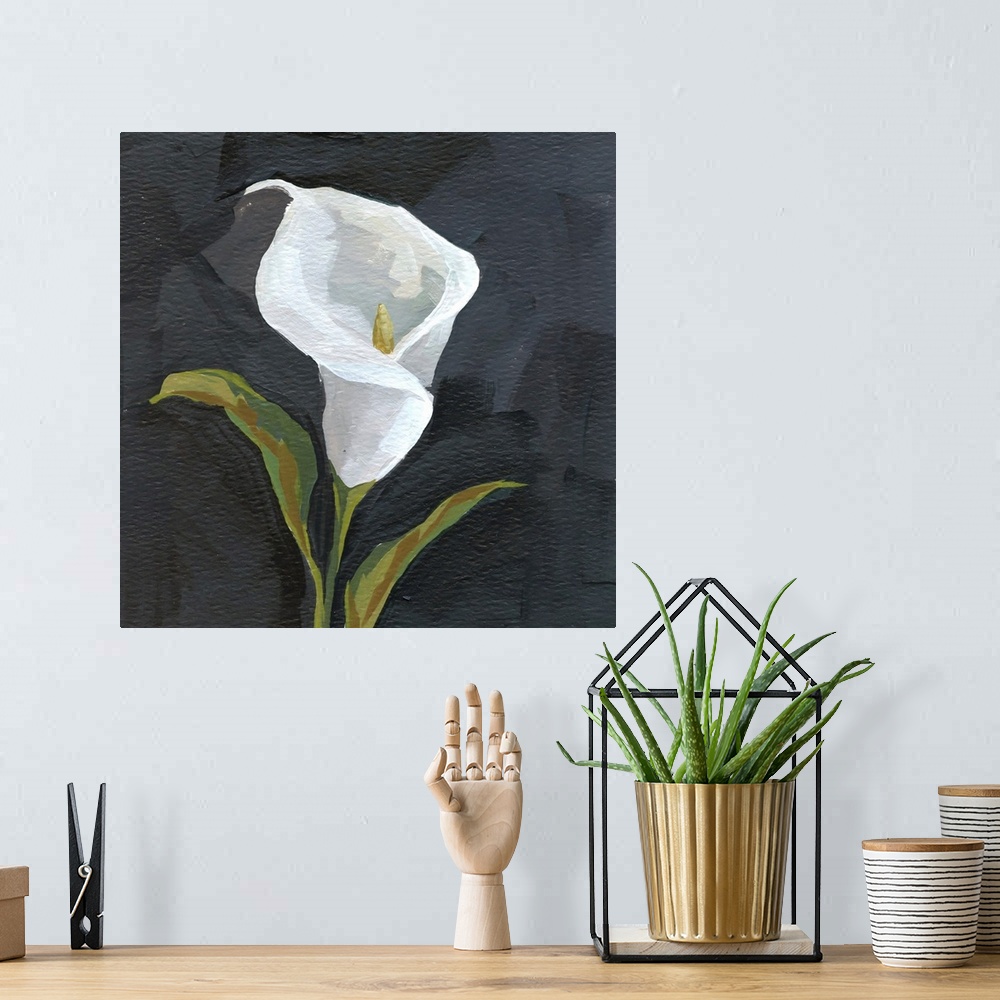 A bohemian room featuring Calla Lily
