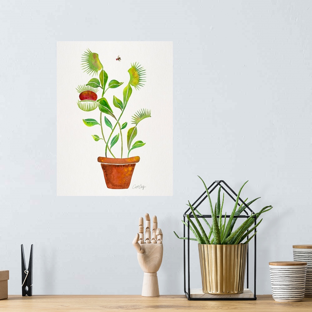 A bohemian room featuring Venus Fly Trap