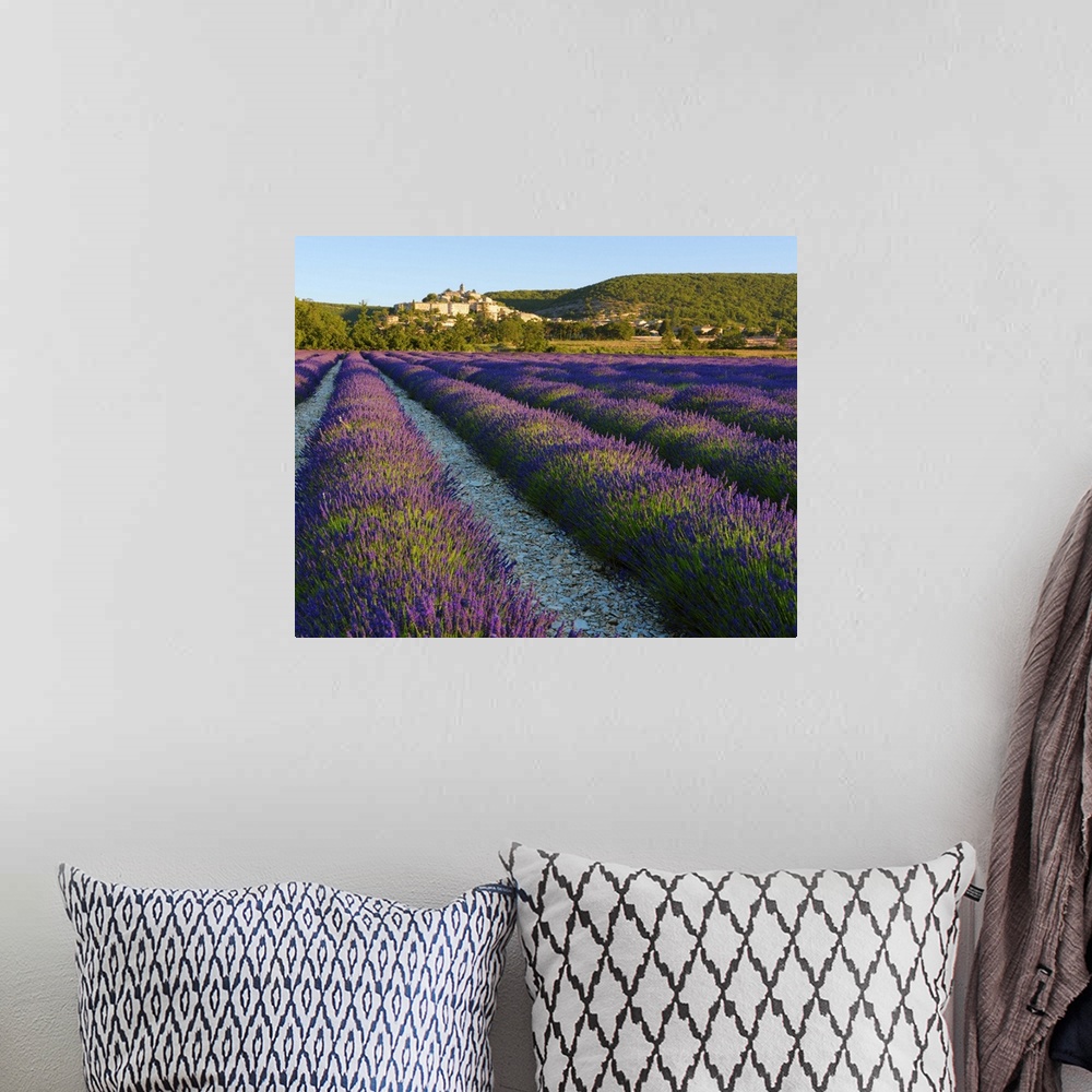 A bohemian room featuring France, Provence, Banon, lavender to foreground