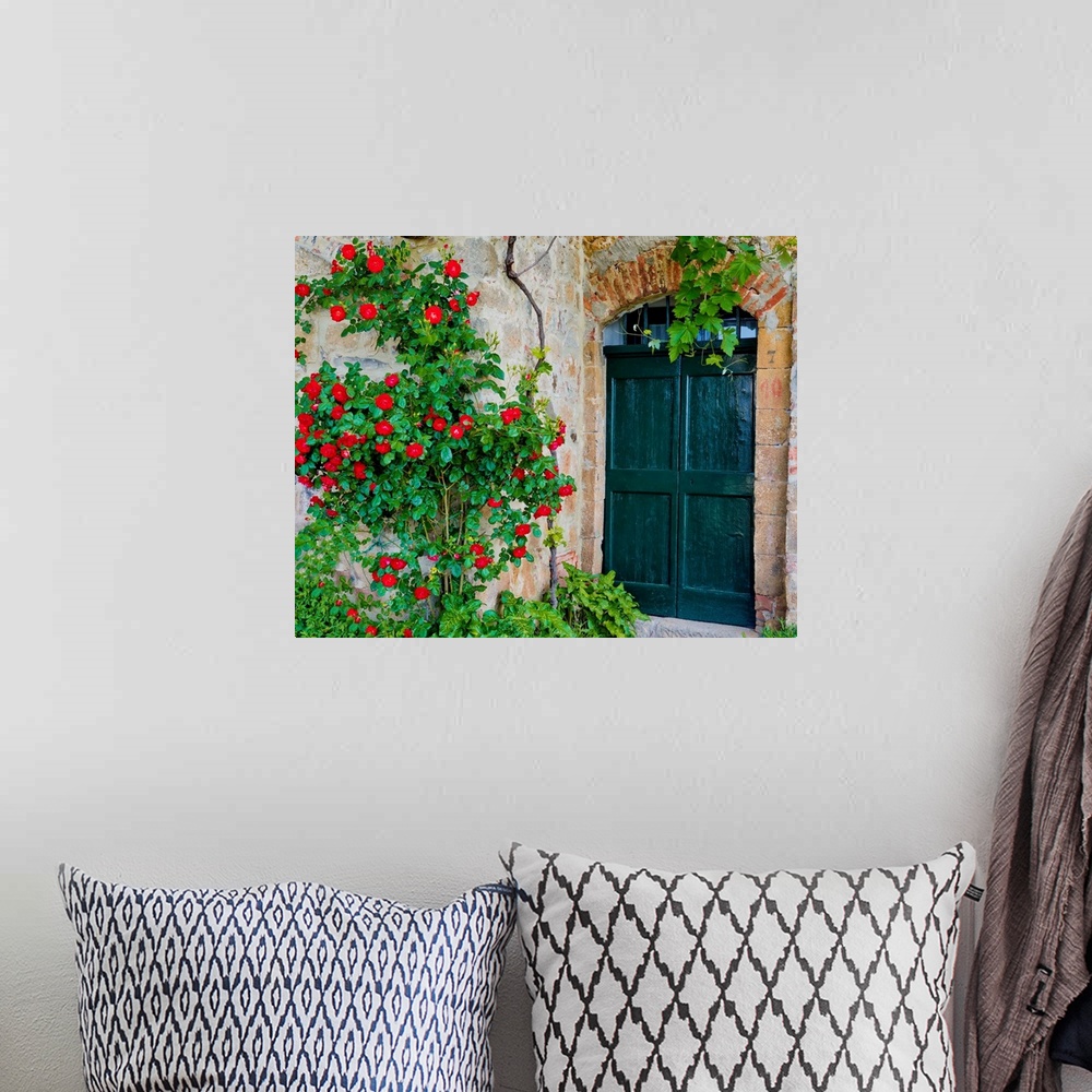 A bohemian room featuring Green Door And Roses, Monticchiello, Tuscany, Italy