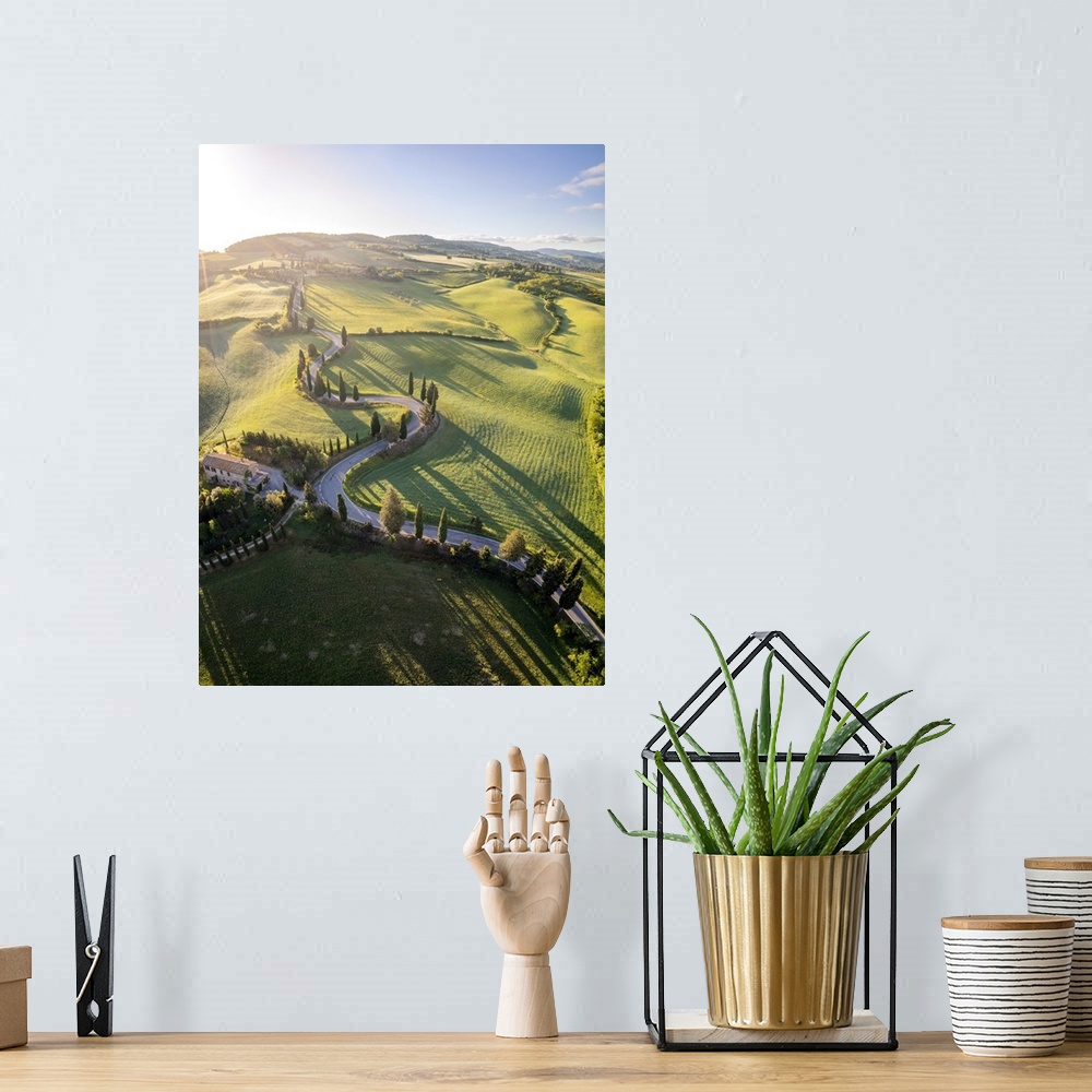 A bohemian room featuring iconic cypresses road of Monticchiello at sunrise. Pienza, Orcia Valley, Siena district, Tuscany,...