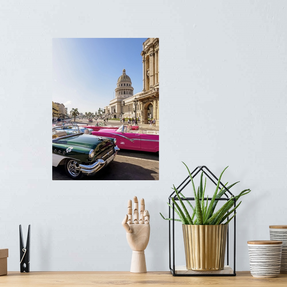 A bohemian room featuring Vintage cars at Paseo del Prado and El Capitolio, Havana, La Habana Province, Cuba