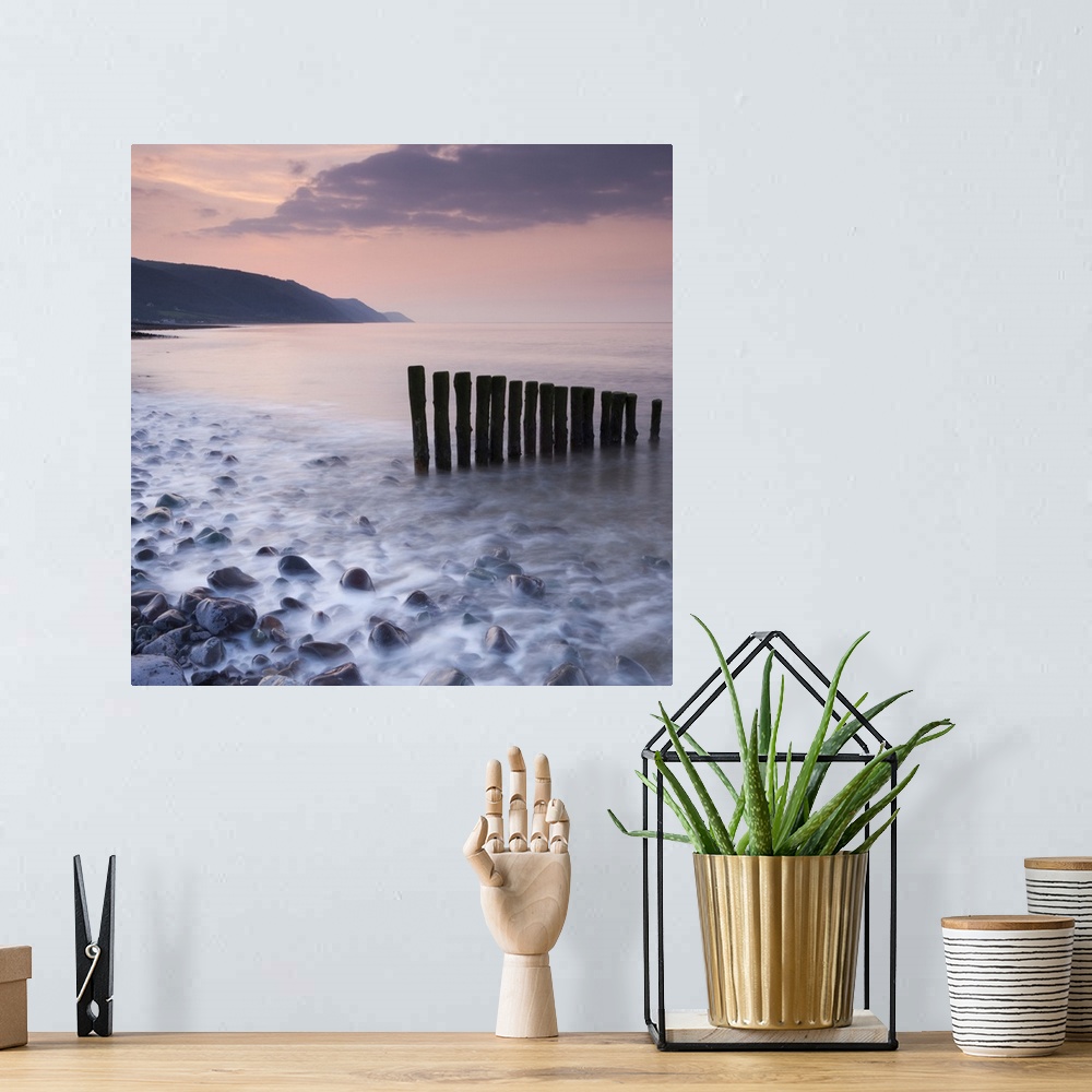 A bohemian room featuring Wooden groynes on Bossington Beach at sunset, Exmoor National Park, Somerset, England. Spring