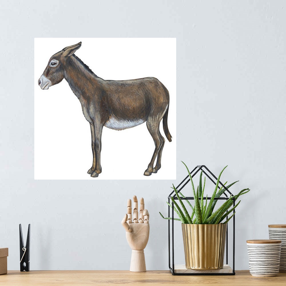 A bohemian room featuring Donkey (Equus Asinus)