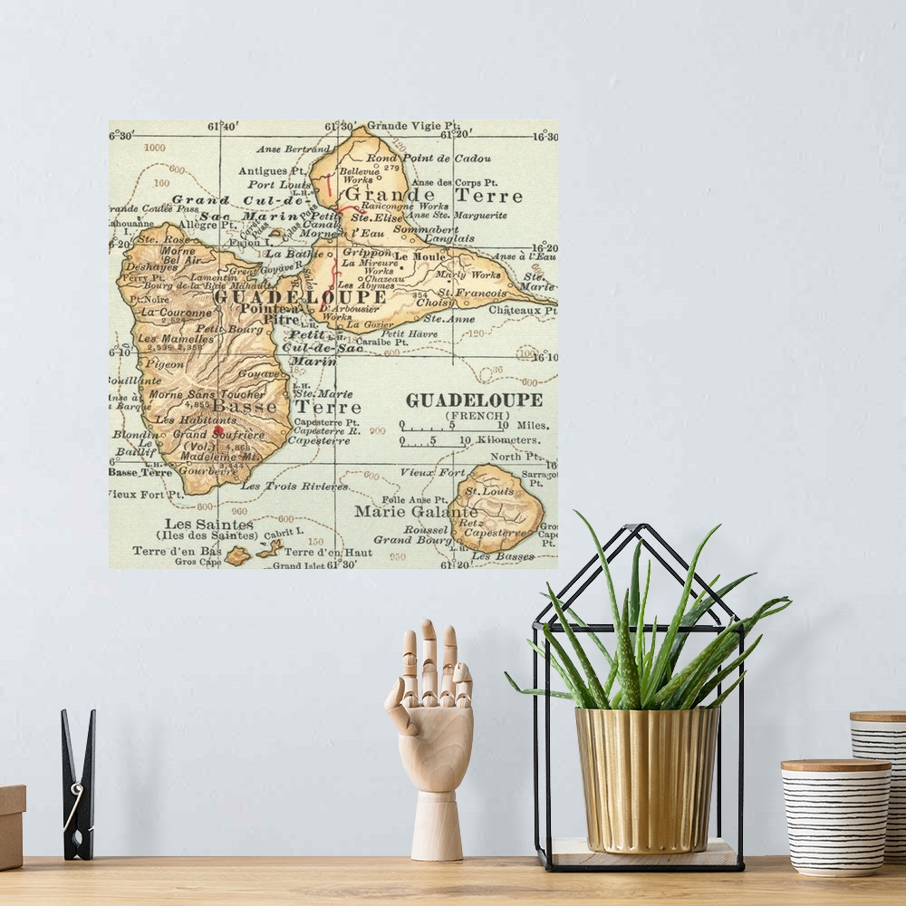A bohemian room featuring Guadaloupe - Vintage Map