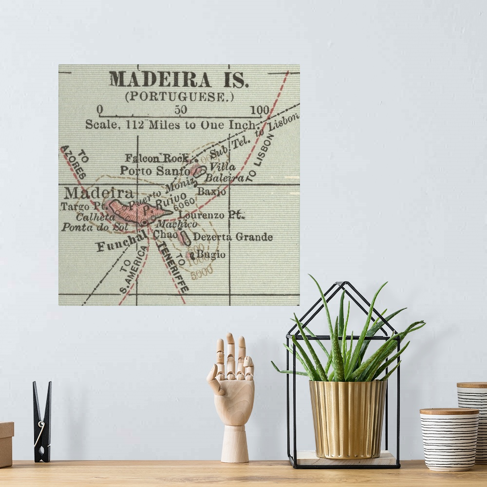 A bohemian room featuring Madeira Islands - Vintage Map
