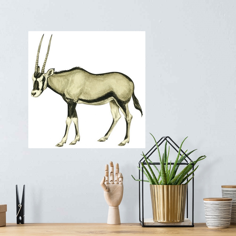 A bohemian room featuring Oryx (Oryx Gazella)