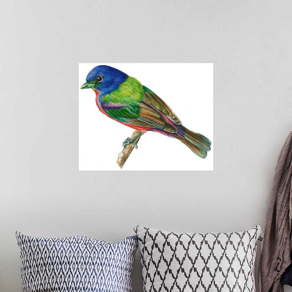 A bohemian room featuring Educational illustration of the painted bunting.