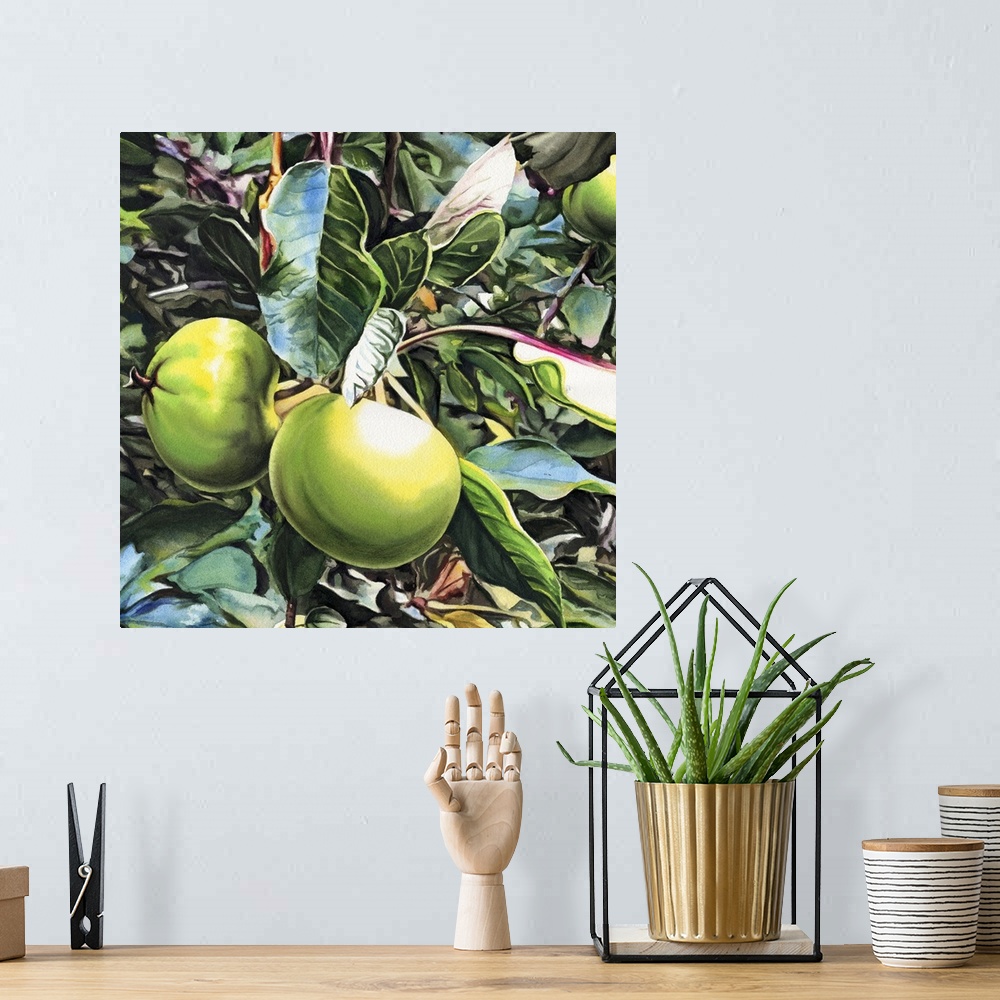 A bohemian room featuring Square painting of small green apples growing on a tree in watercolor.