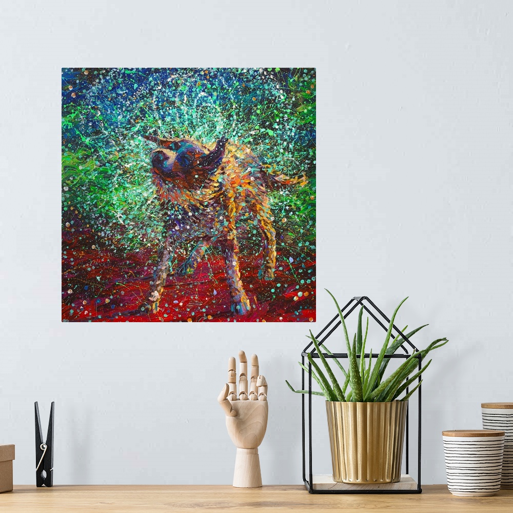 A bohemian room featuring Brightly colored contemporary artwork of a collie shaking off water.