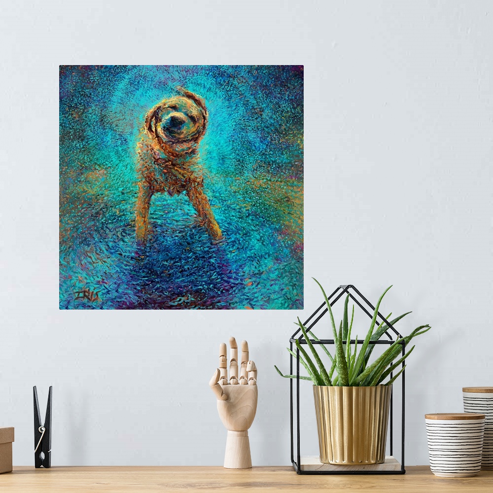 A bohemian room featuring Brightly colored contemporary artwork of a lab shaking off blue water.