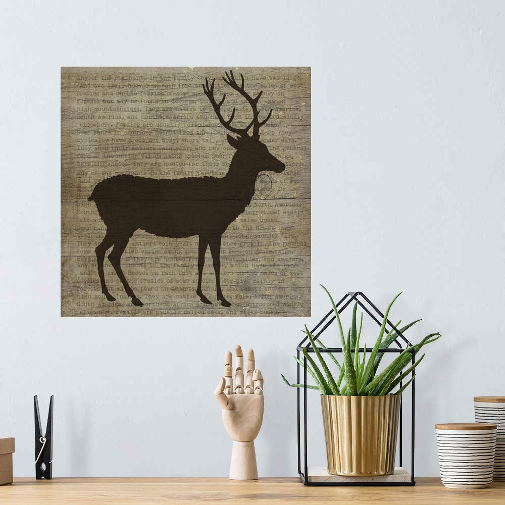 A bohemian room featuring Deer