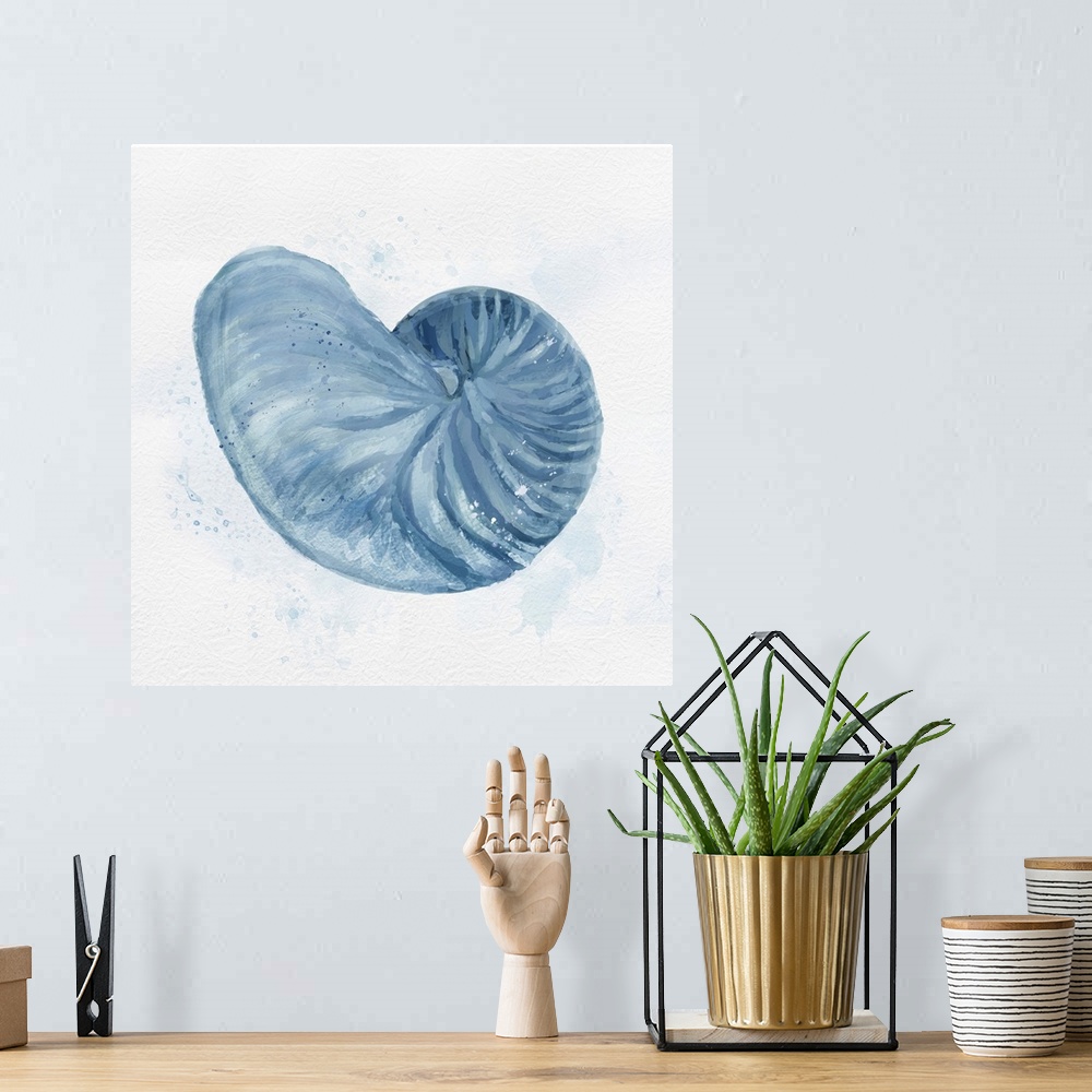 A bohemian room featuring Nautilus Shell