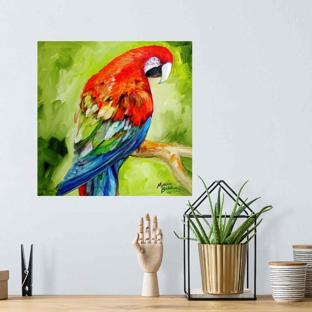 A bohemian room featuring A macaw parrot in tropical theme color palette.