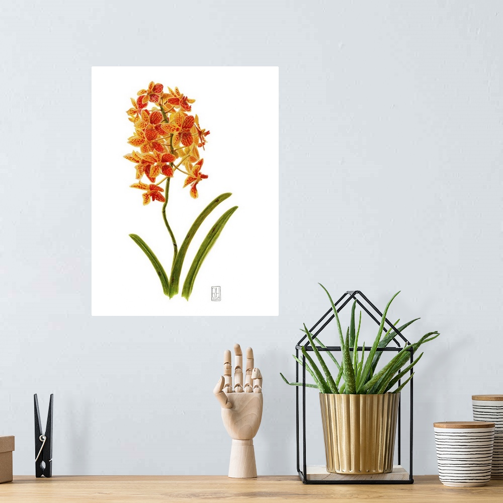 A bohemian room featuring Contemporary artwork of a vibrant orange flower against a white background.