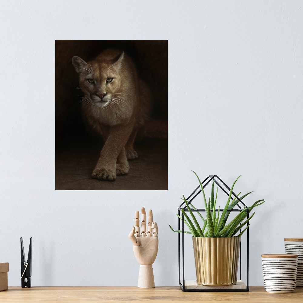 A bohemian room featuring Cougar - Emergence