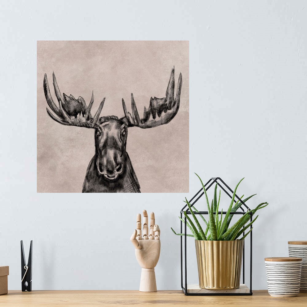 A bohemian room featuring Moose Face