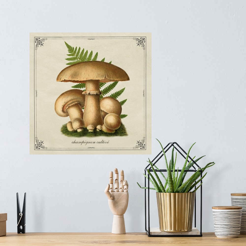 A bohemian room featuring Mushroom Style IX