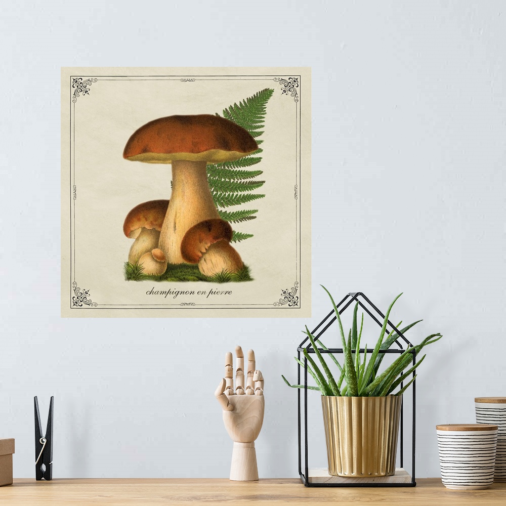A bohemian room featuring Mushroom Style VII