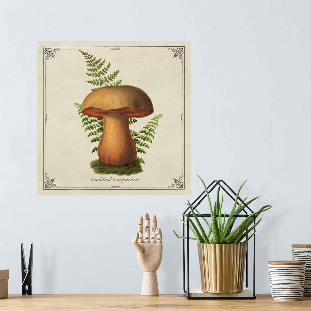 A bohemian room featuring Mushroom Style VIII