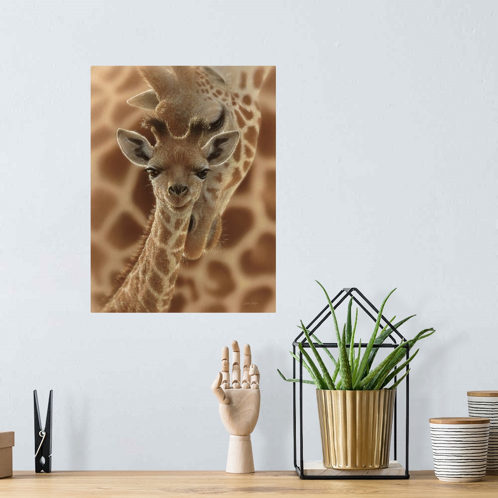 A bohemian room featuring Newborn Giraffe