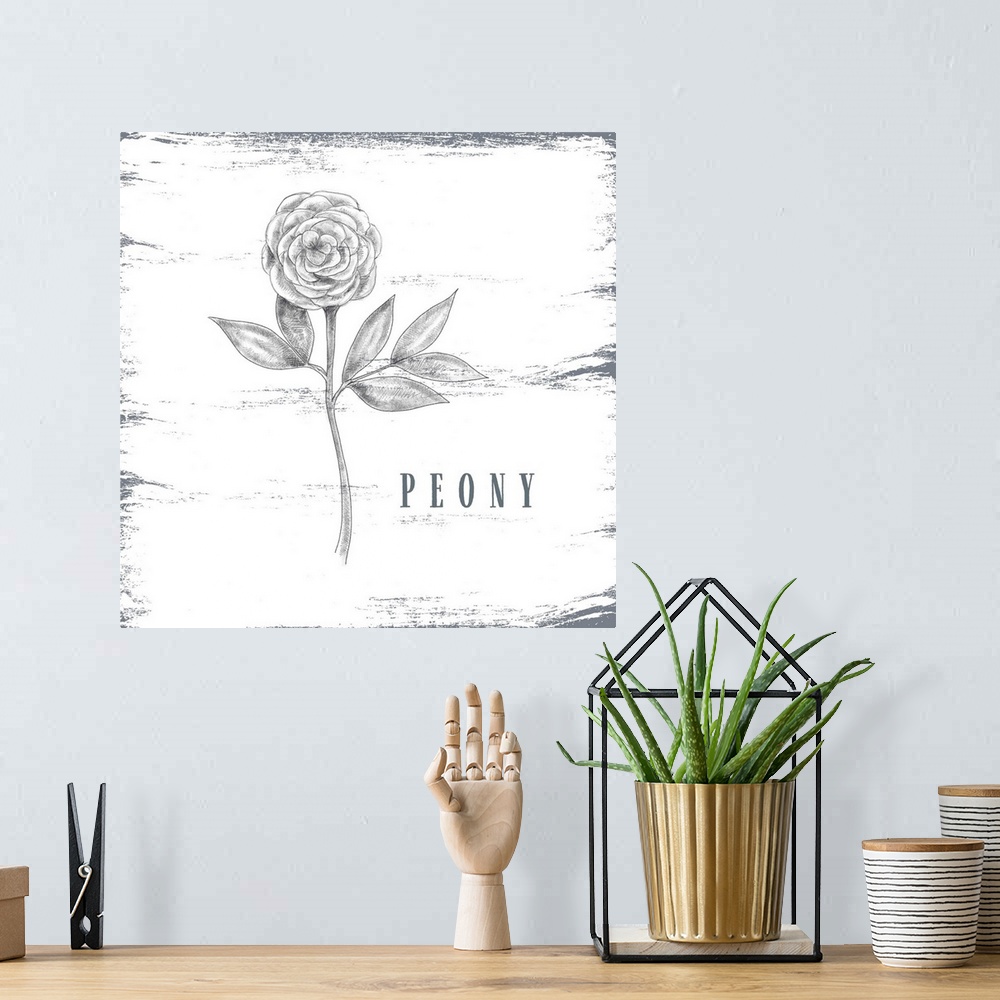 A bohemian room featuring Peony Sketch