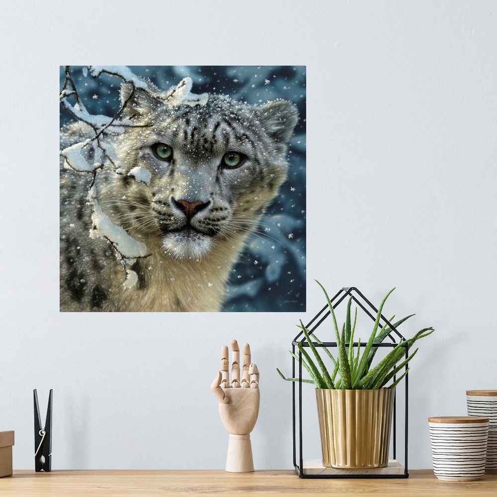 A bohemian room featuring Snow Leopard