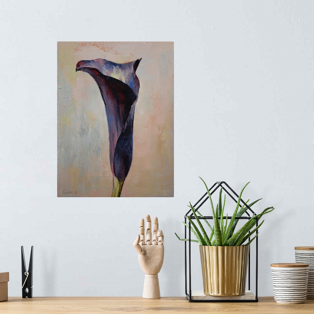 A bohemian room featuring Black Calla Lily