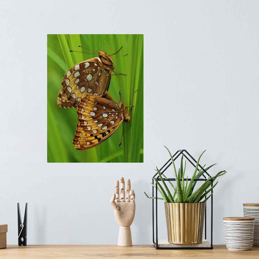 A bohemian room featuring Close-up photograph of two butterfly's clinging to vibrant green grass.