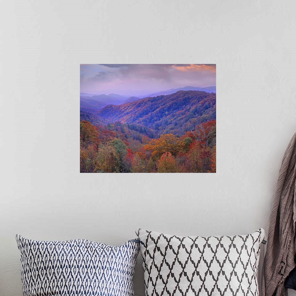 A bohemian room featuring Photo on canvas of mountains covered in fall foliage.