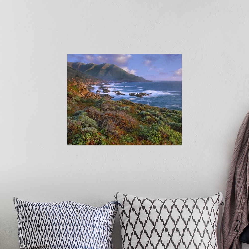 A bohemian room featuring Cliffs and the Pacific Ocean, Garrapata State Beach, Big Sur, California