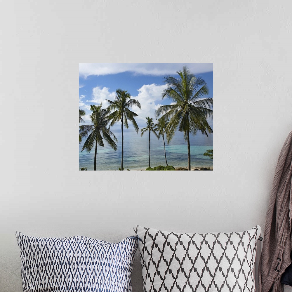 A bohemian room featuring Coconut Palm (Cocos nucifera) trees, Bikini Beach, Panglao Island, Philippines
