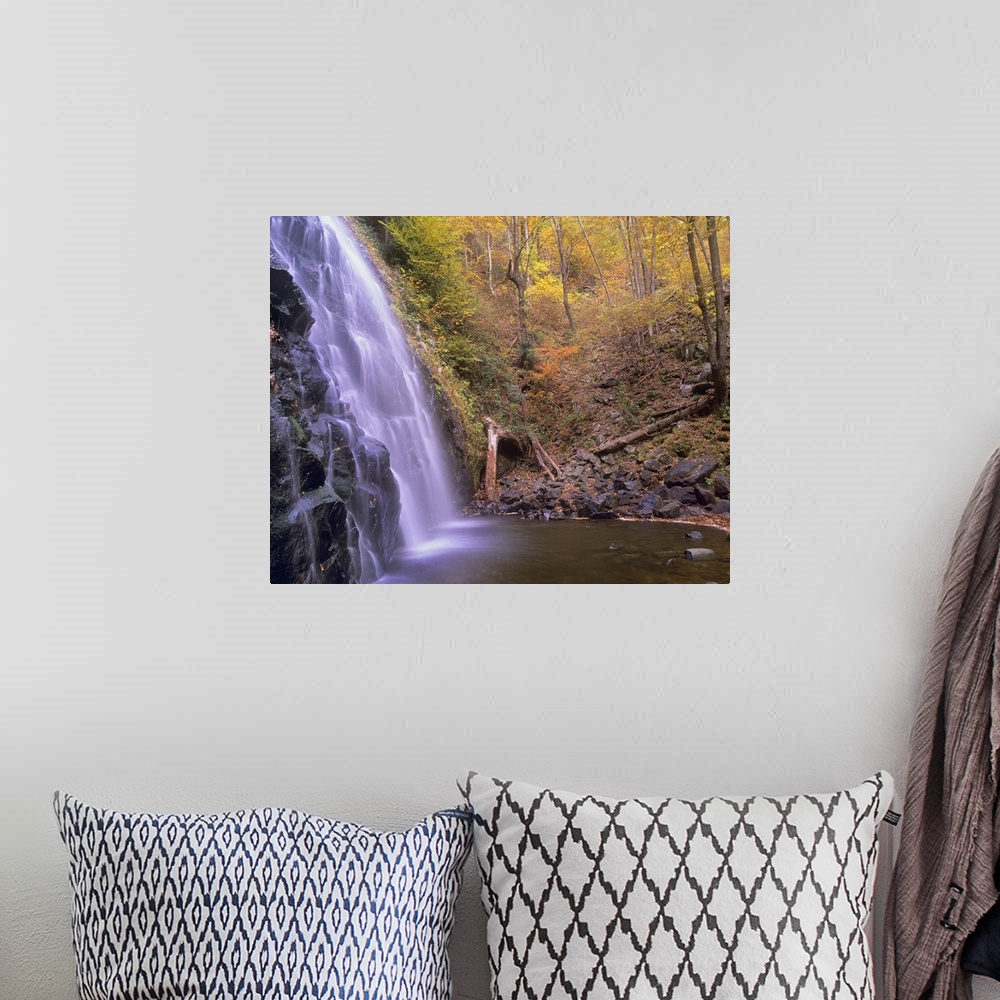 A bohemian room featuring Rocky waterfall and creek in a grove of autumn-colored trees in the Southeastern United States.